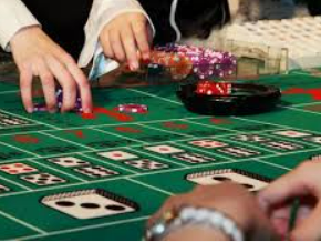 壹号平台app2024最新版